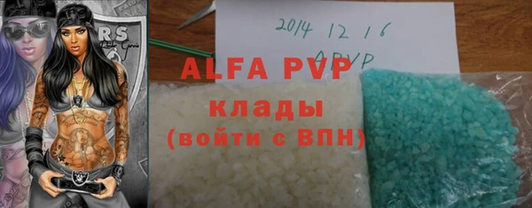 стафф Бородино