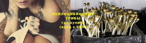 стафф Бородино