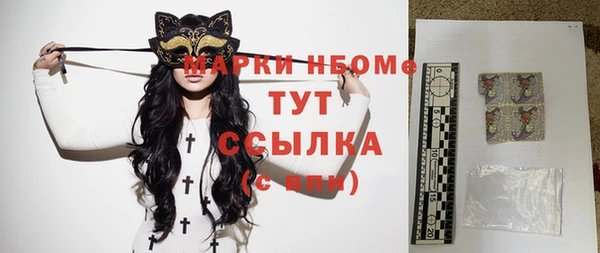 стафф Бородино