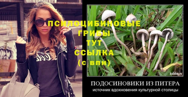 стафф Бородино