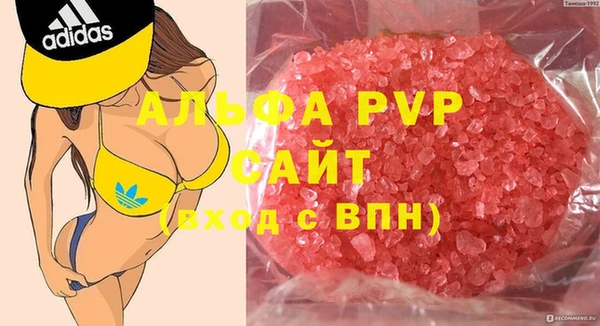 apvp Иннополис