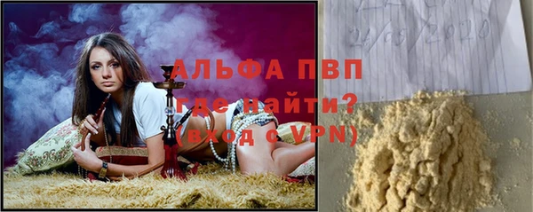 стафф Бородино