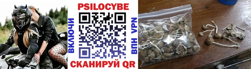 ссылка на мегу маркетплейс  Кемь  Псилоцибиновые грибы Psilocybe 